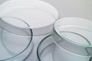 義歯を作る時は信頼ある歯科医院で