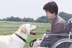 吹田でよい病院を見つけたいとすれば