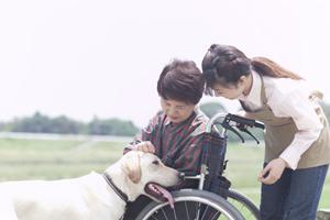 蒲田中央整骨院の交通事故治療について