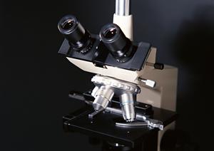 お腹の張りやガスを解消するためのレントゲン検査の重要性と対策方法ガイド